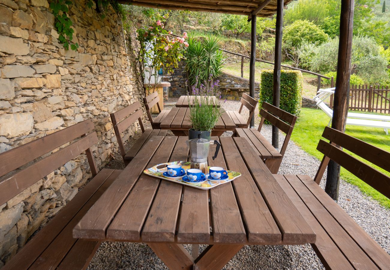 Appartamento a Dolcedo - Agri Borgata Vallone - La Libellula