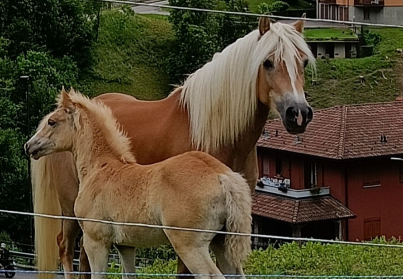 Appartamento a San Giovanni Bianco - Blondie Chalet Prealps
