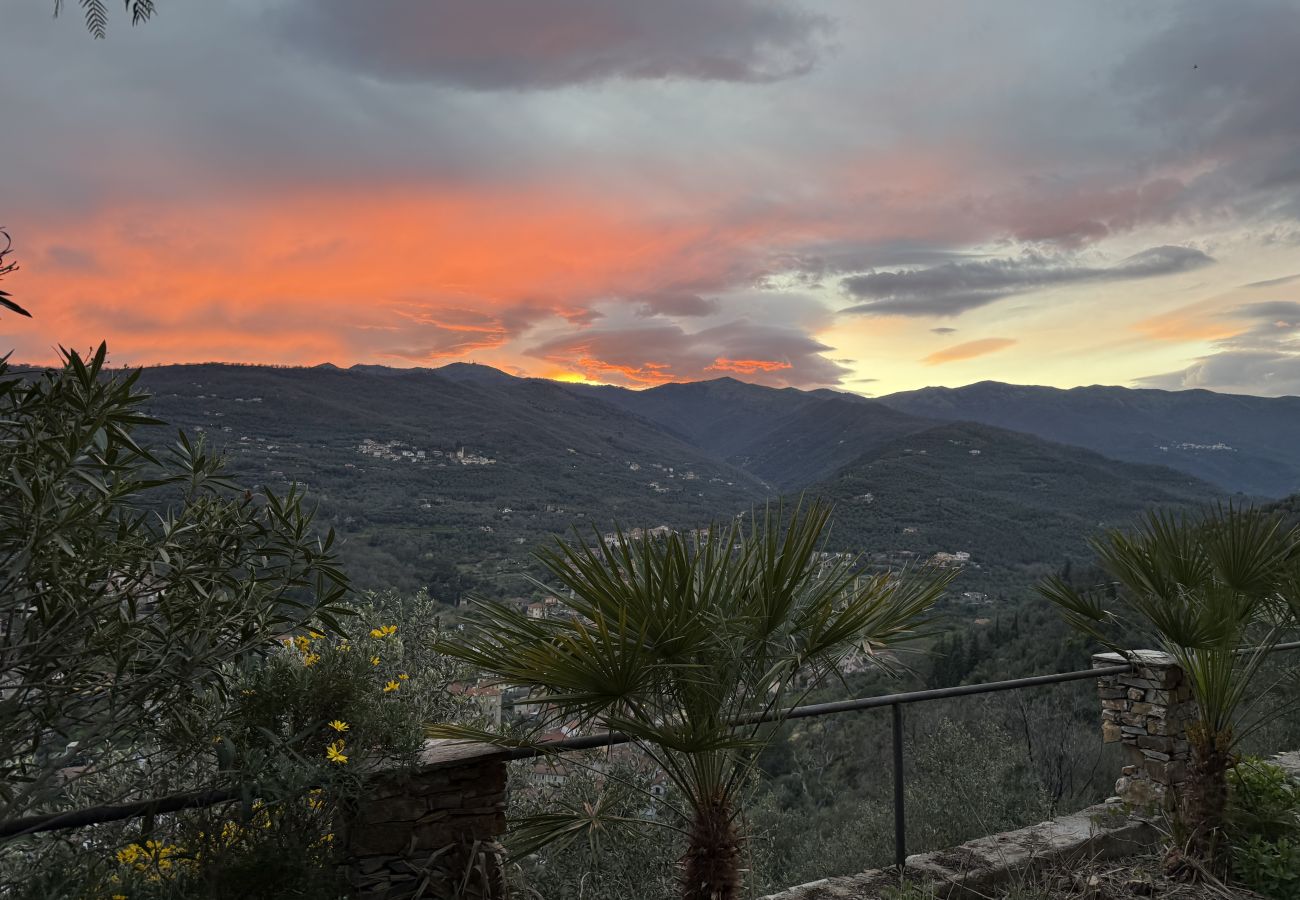Villa a Dolcedo - Villa Cuccarello