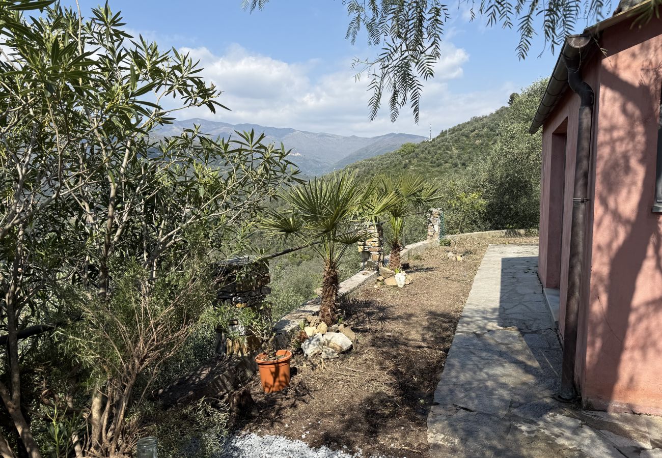 Villa a Dolcedo - Villa Cuccarello