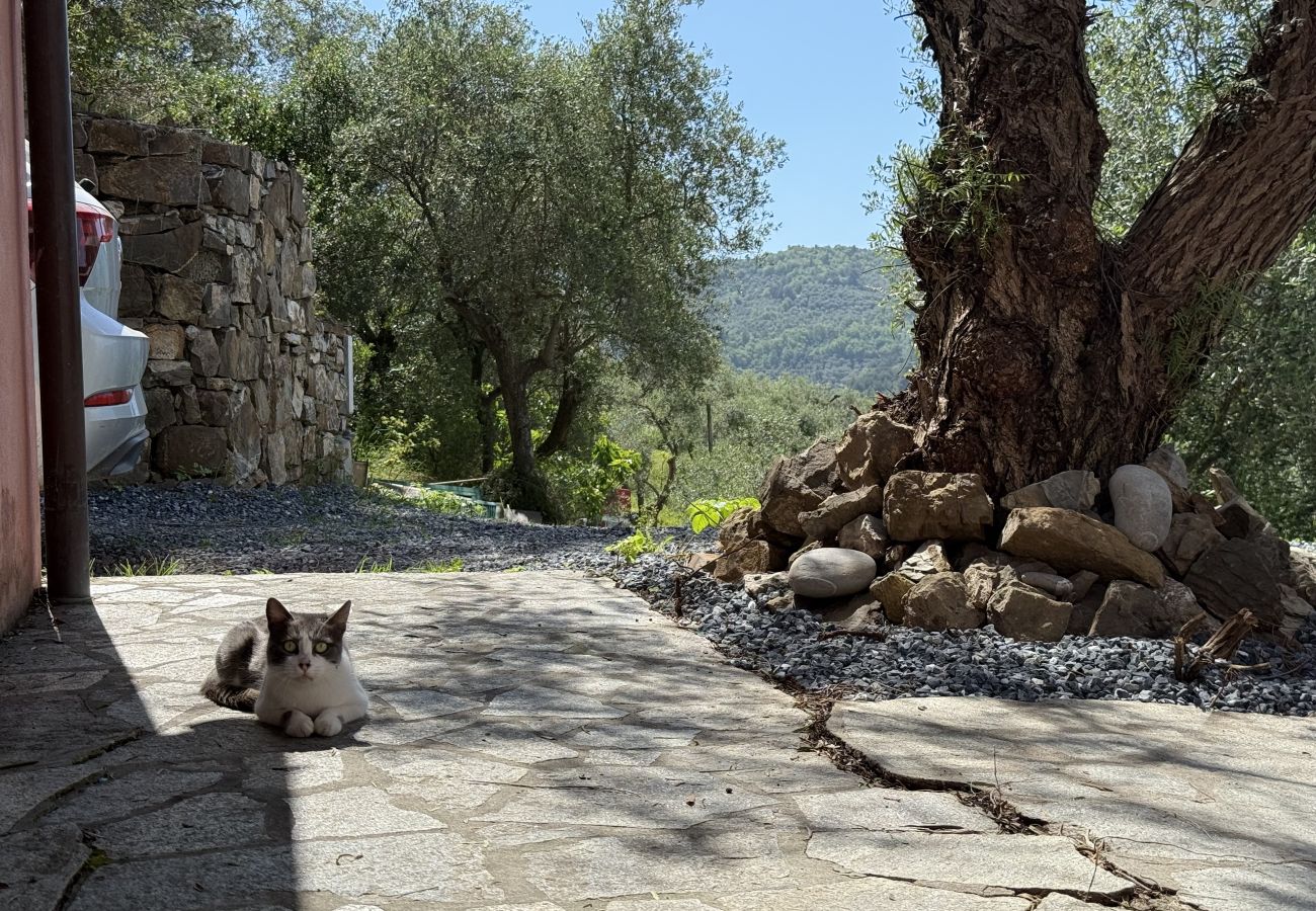 Villa a Dolcedo - Villa Cuccarello
