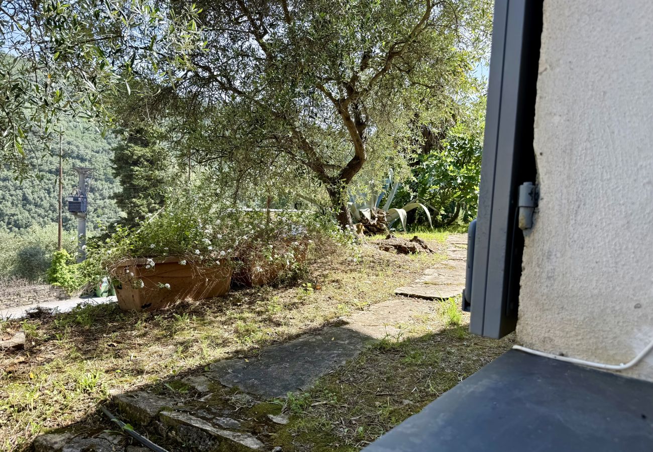 Ferienhaus in Dolcedo - La Casa di Maria