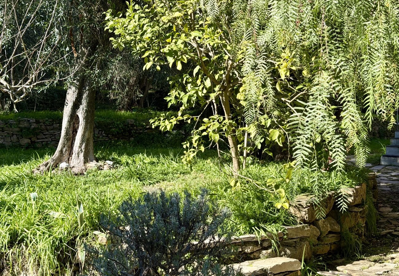 Ferienwohnung in Dolcedo - Casa Don Camillo