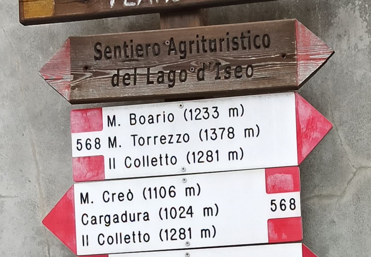Apartment in Fonteno - BLONDIE HOUSE