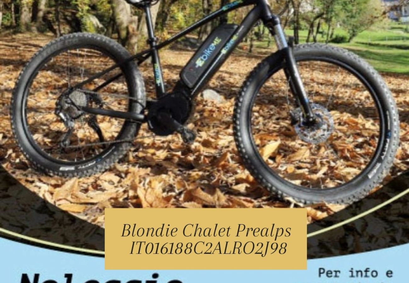 Apartment in San Giovanni Bianco - Blondie Chalet Prealps