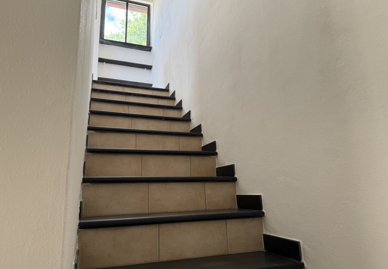 Villa in Dolcedo - Villa Cuccarello