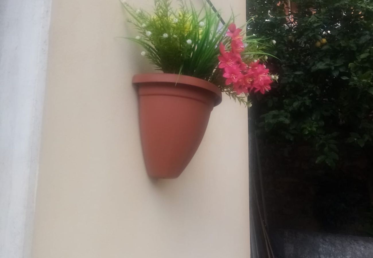 Apartment in Imperia - Paint House