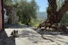Villa en Dolcedo - Villa Cuccarello Villa en Dolcedo - Villa Cuccarello