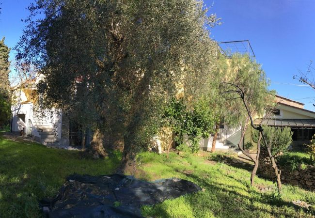 Apartamento en Dolcedo - Relais Oliva