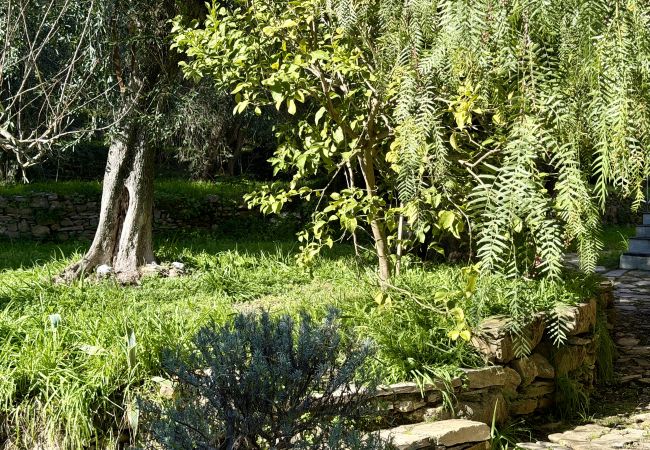 Apartamento en Dolcedo - Casa Don Camillo